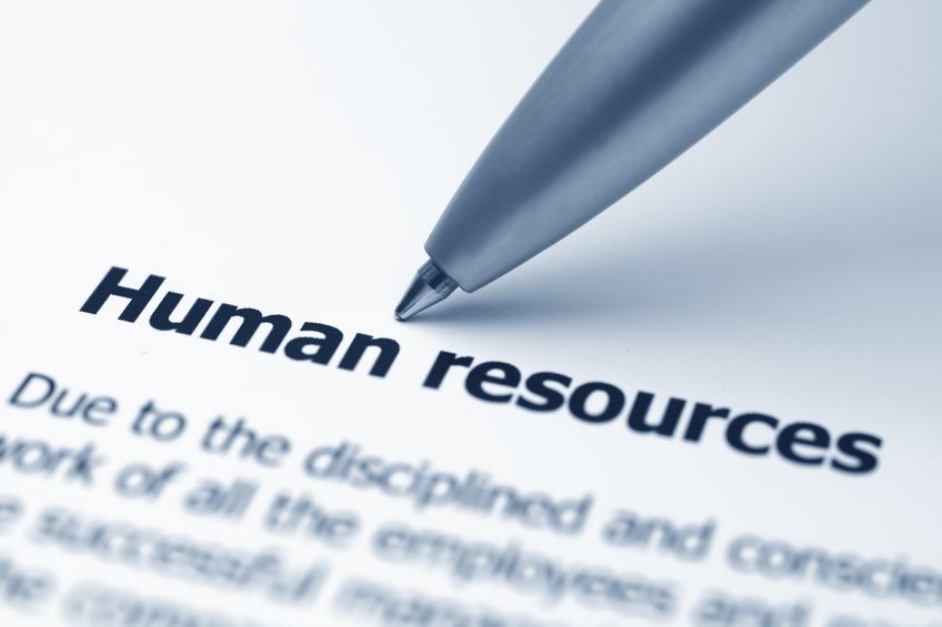 consistech solution, hrd, erp